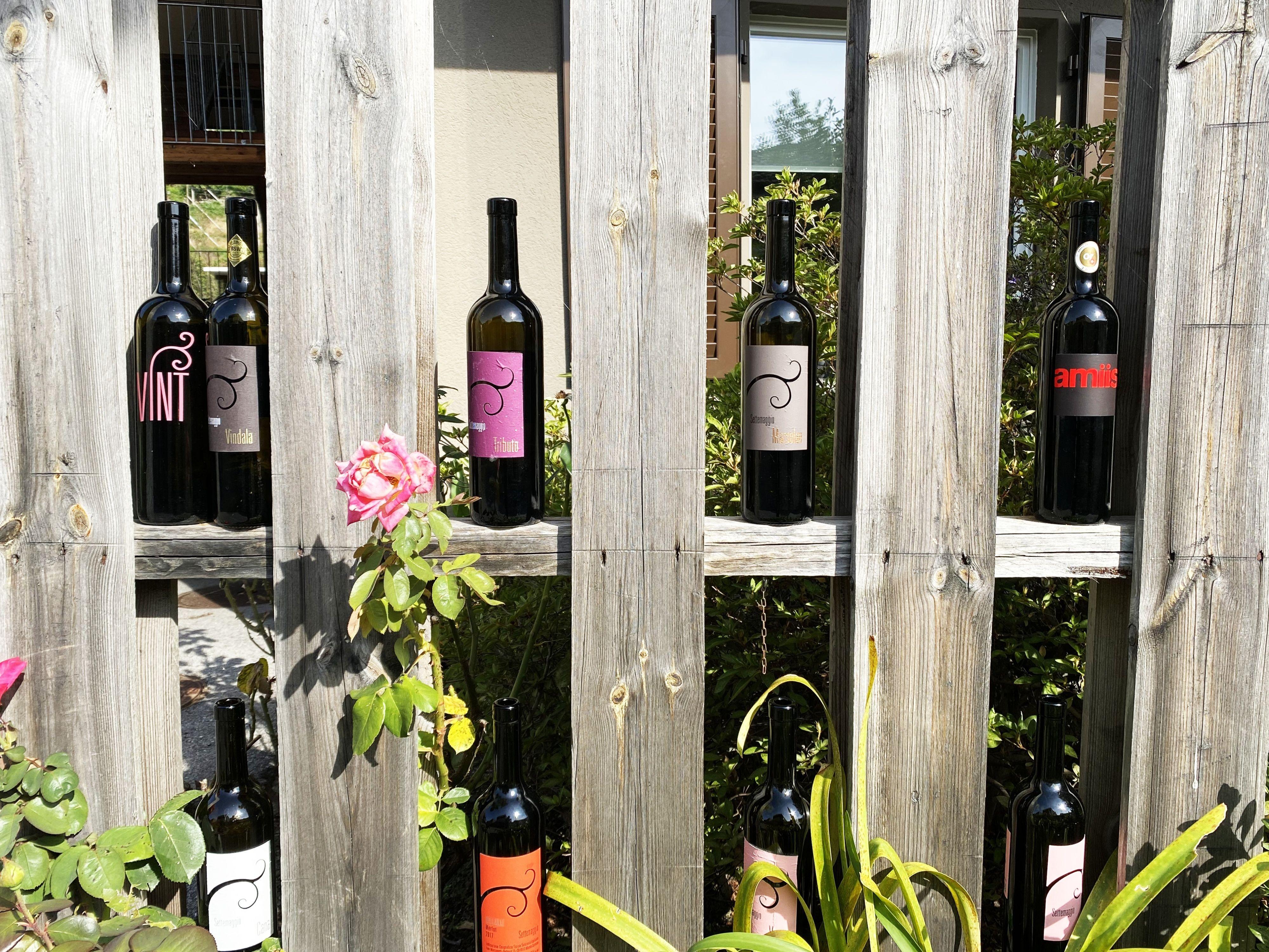 Image 13 - Wine cellar Settemaggio	