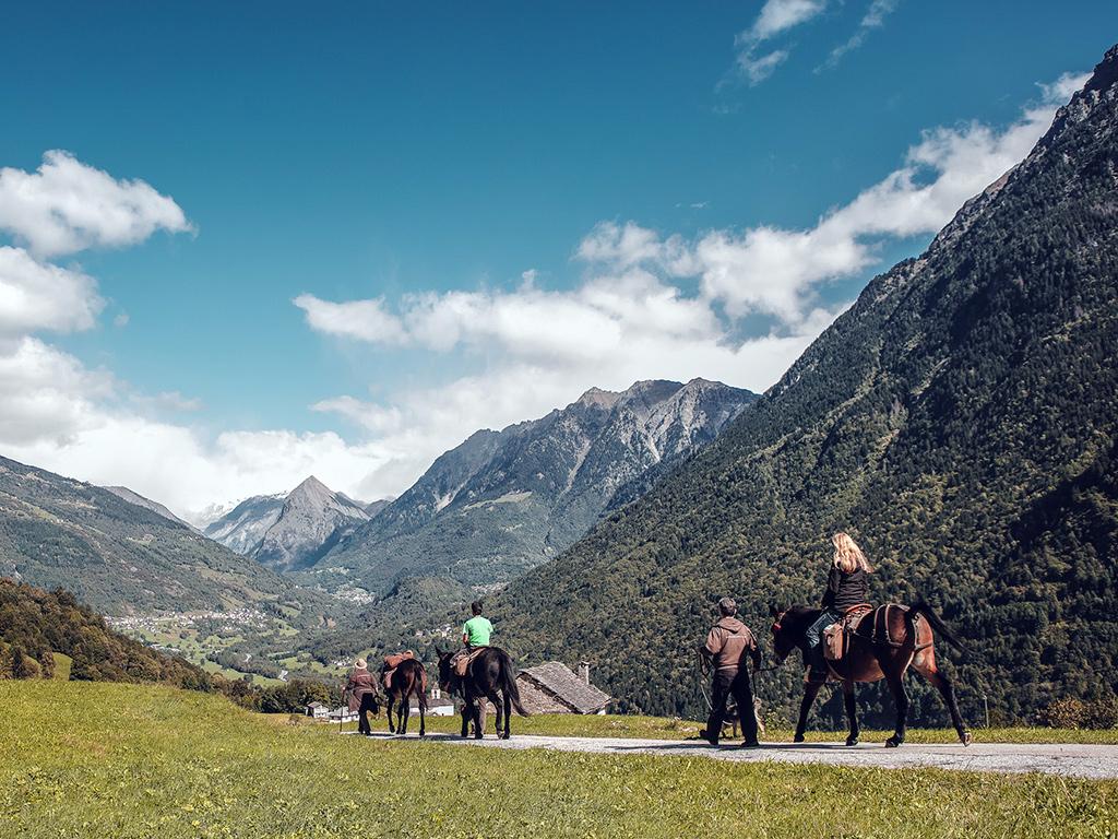 Image 2 - SOMARELLI - Trekking und Abenteuer mit Tieren