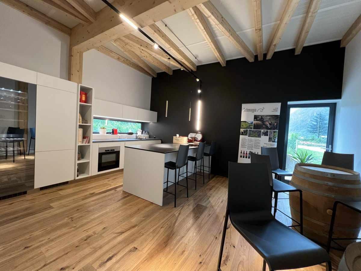 Image 2 - Vino, Cultura & Dolce Vita ticinese