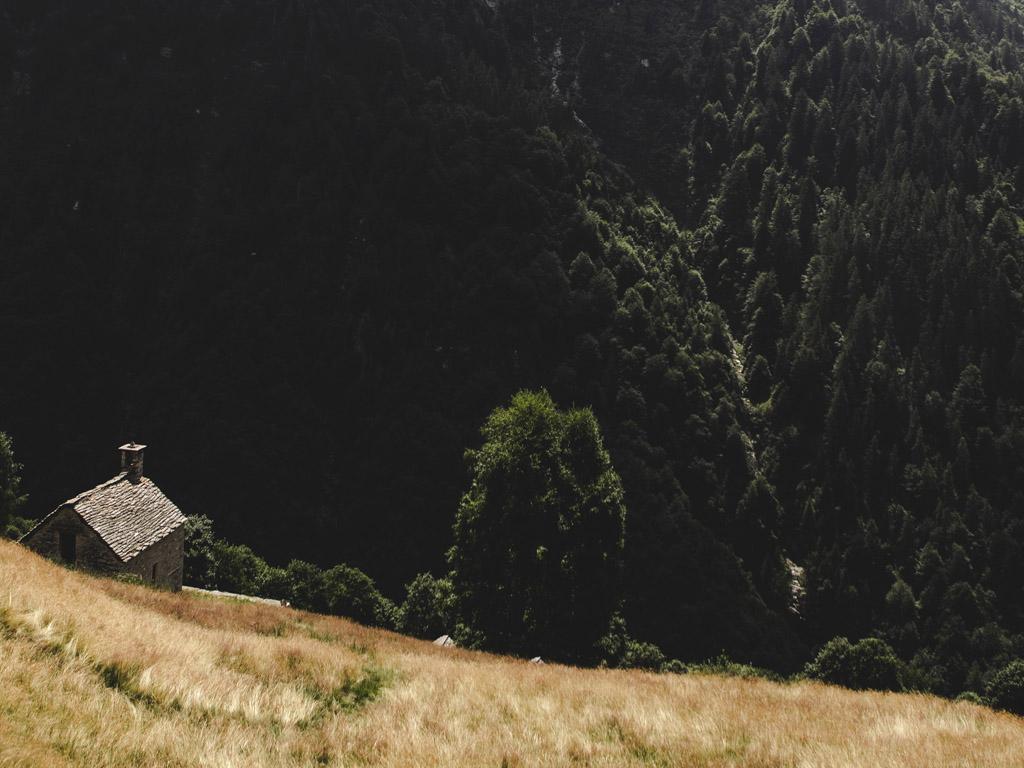 Image 3 - Waldreservat Val Porta