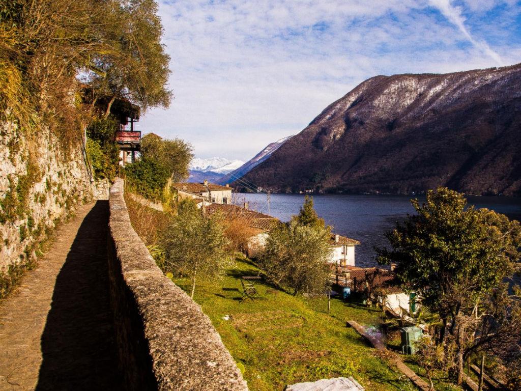 Image 1 - Walking along the Olive Trail of Gandria
