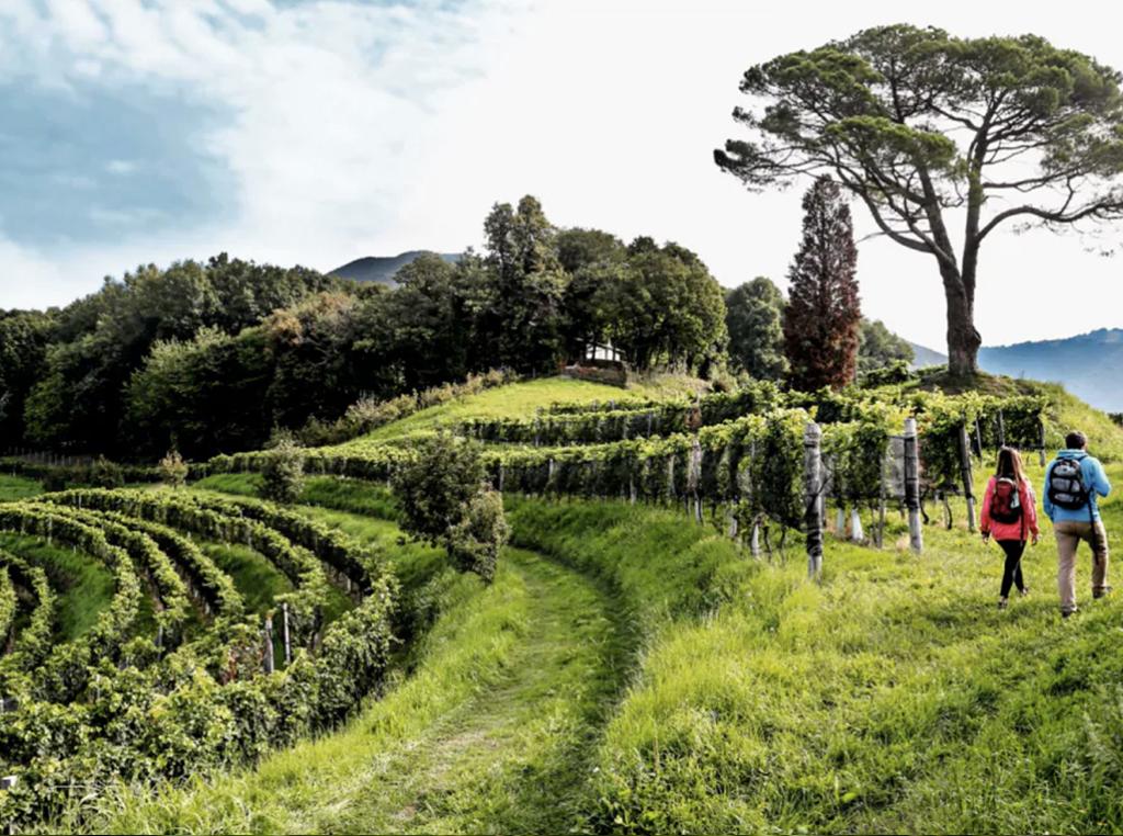 Image 5 - Noi Due & Events SA