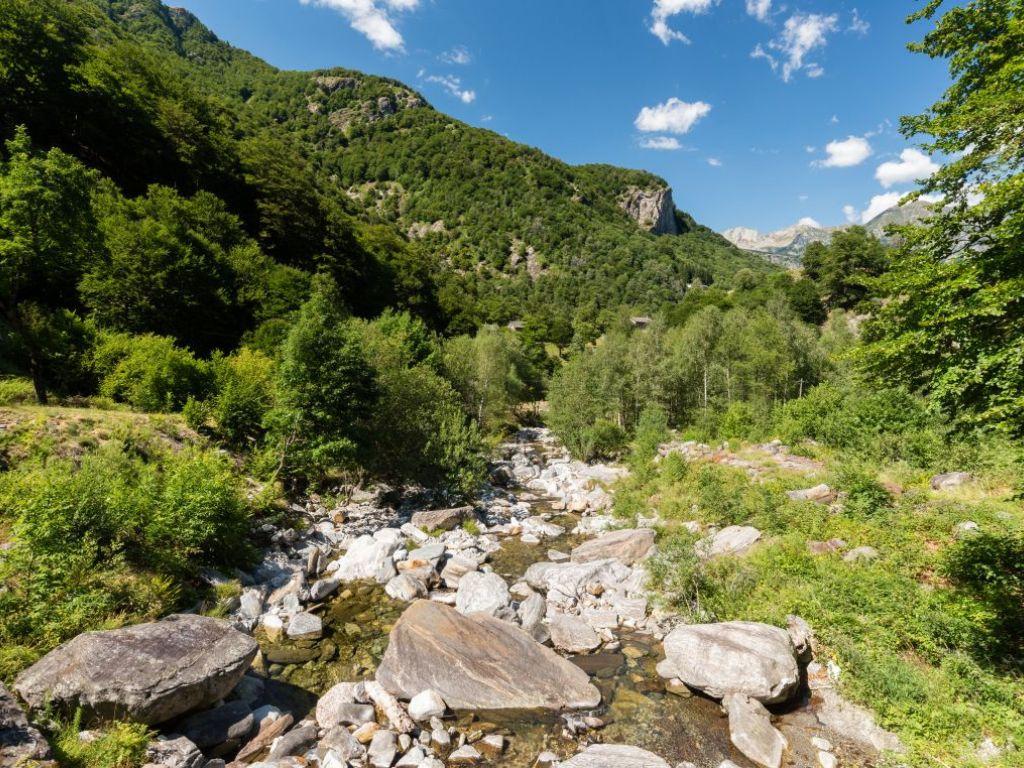 Image 3 - Alla scoperta delle faggete Patrimonio mondiale dell'UNESCO