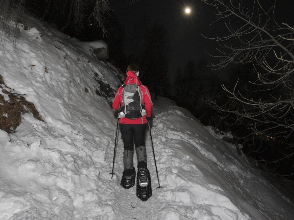 Image 2 - Cardada Cimetta - Emotionen bei Mondschein