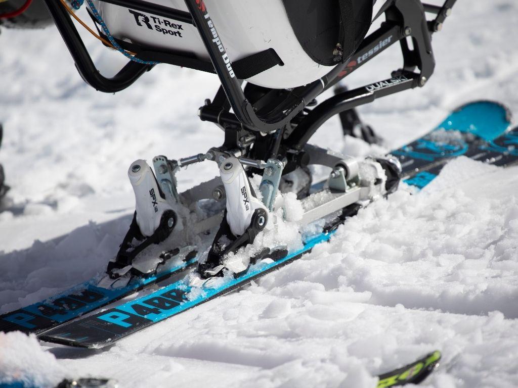 Image 4 - Association Ti-Rex Sport