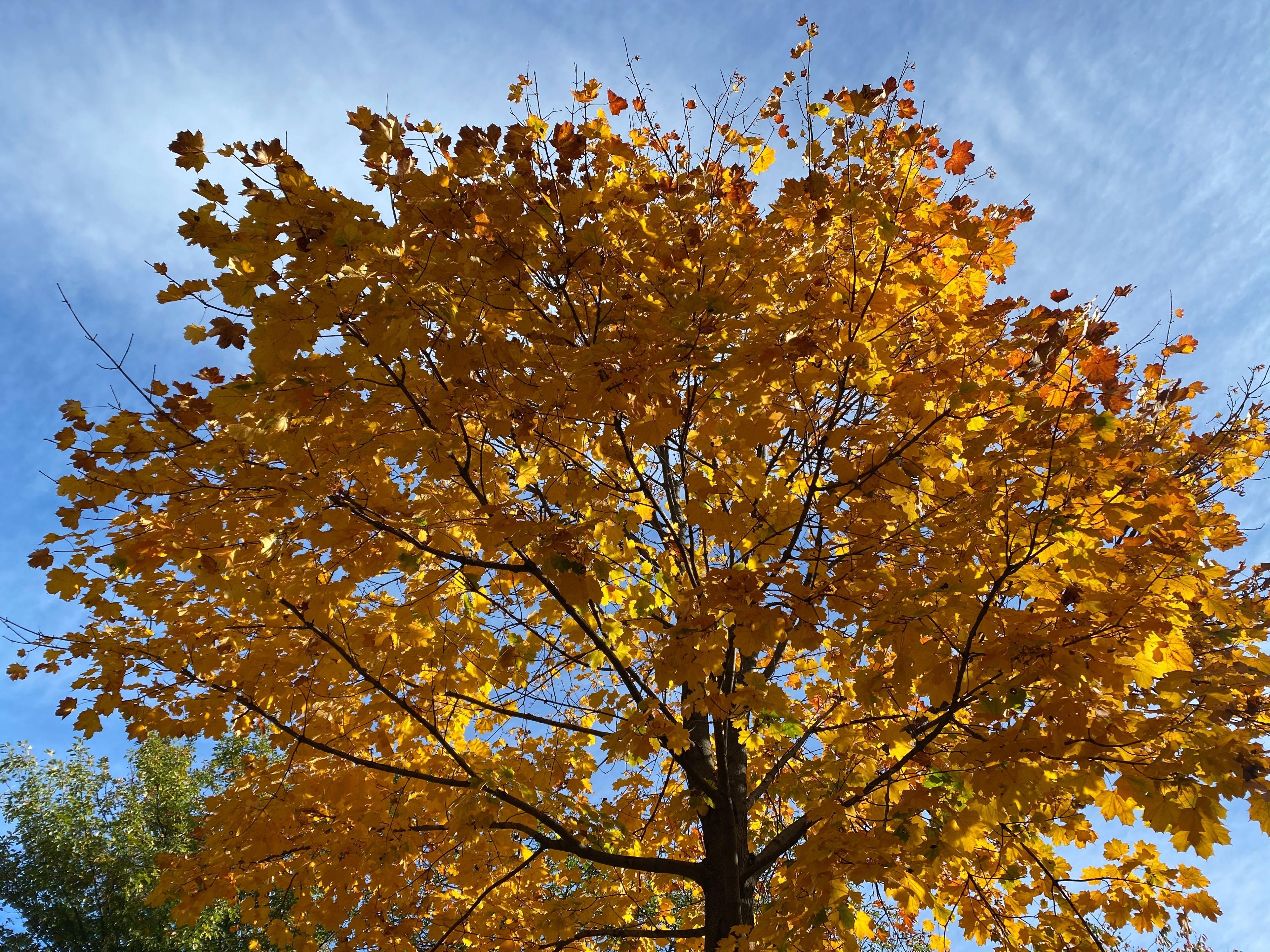 Image 9 - Église de San Martino
