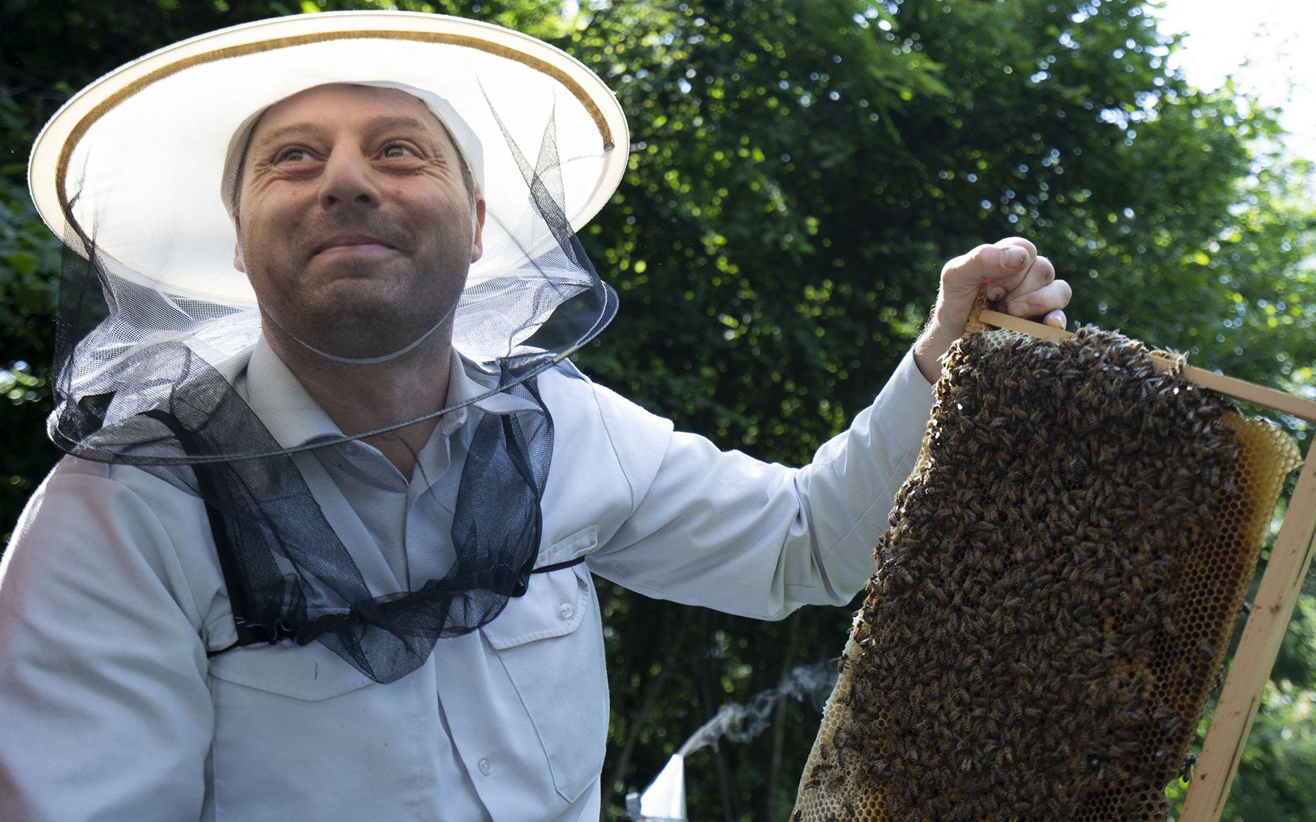 Alla scoperta delle api di Oreste visita all’apiario con degustazione