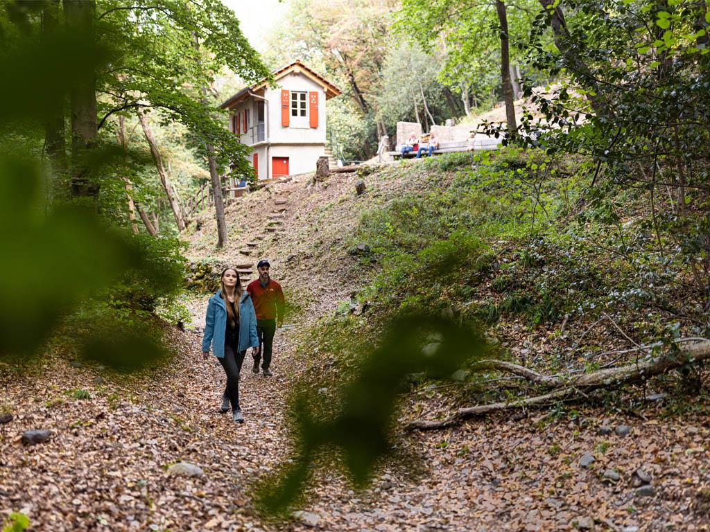 Image 4 - Aula didattica di Carpanee