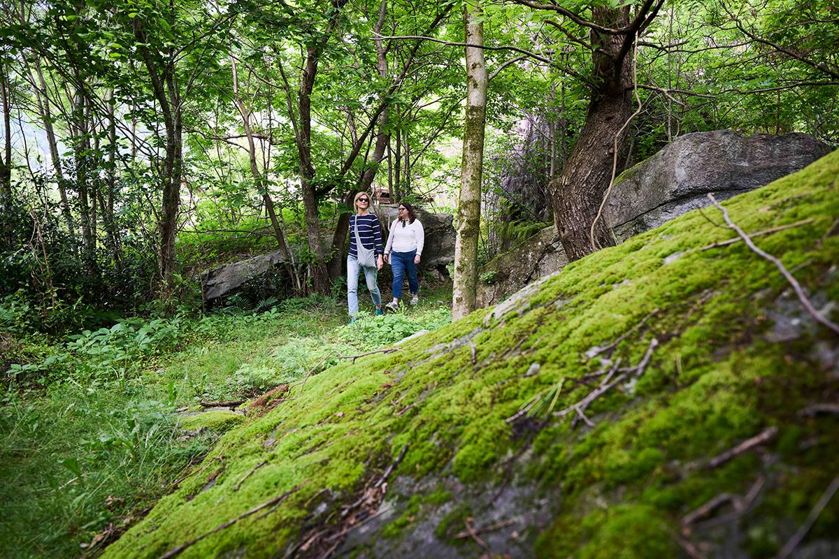 Image 7 - La Valle del sole: un viaggio tra cultura e prodotti genuini della Valle di Blenio