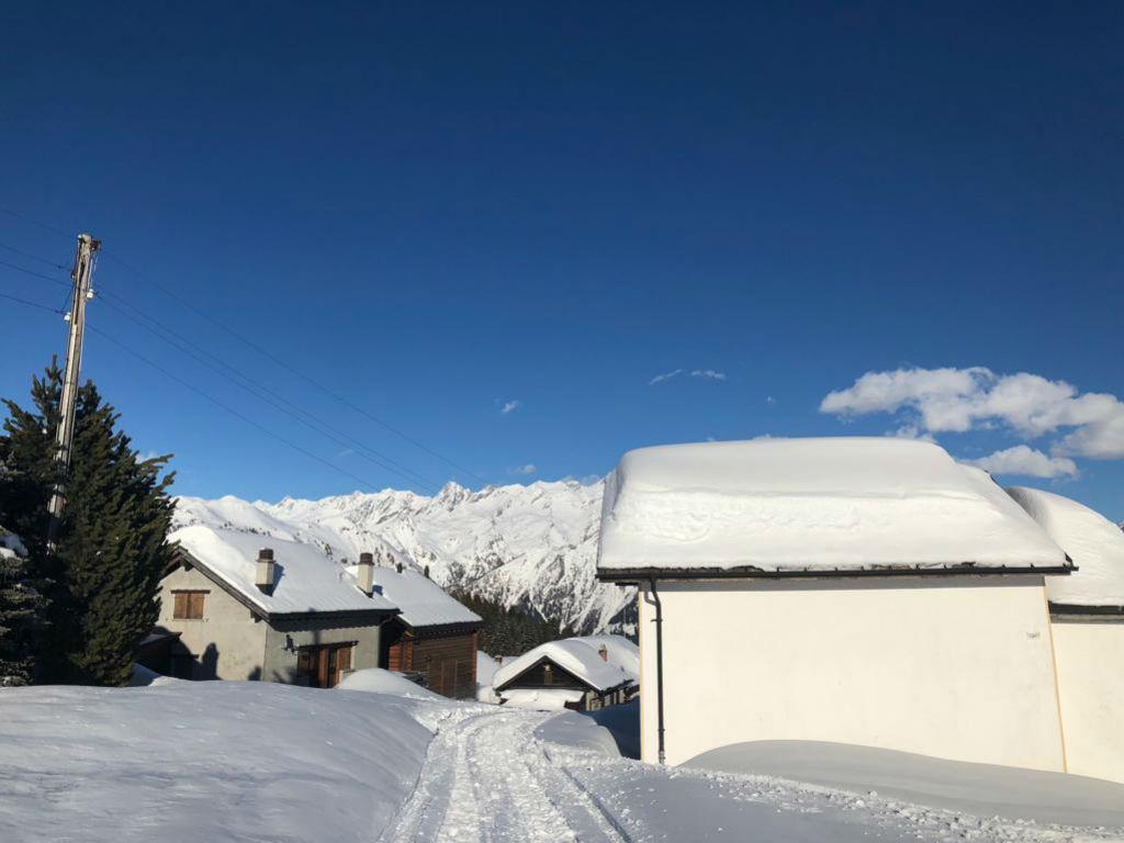 Image 1 - Promenade en traîneau avec motoneige
