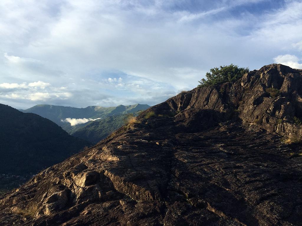 Image 4 - Discover the Maia Woodland