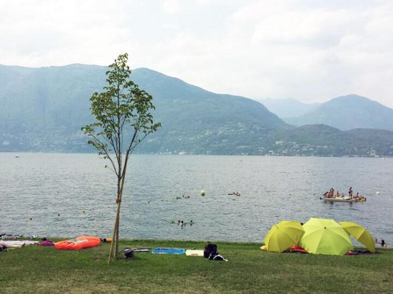 Image 3 - Bagno Spiaggia Gerra Gambarogno