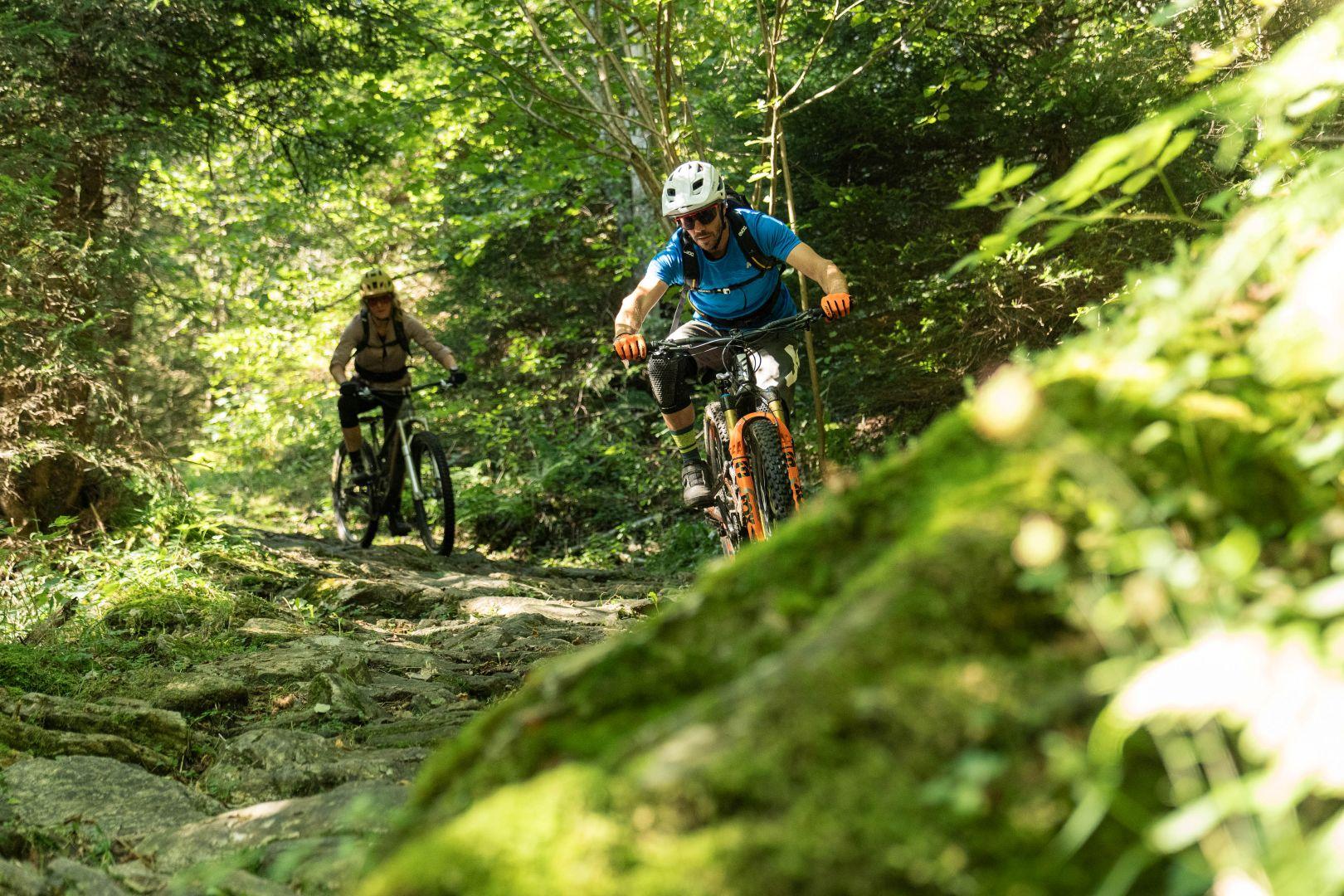 Image 4 - 2wheels Rental & Tours