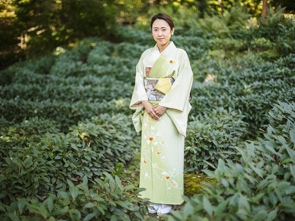 Image 0 - Plantation de thé du Monte Verità