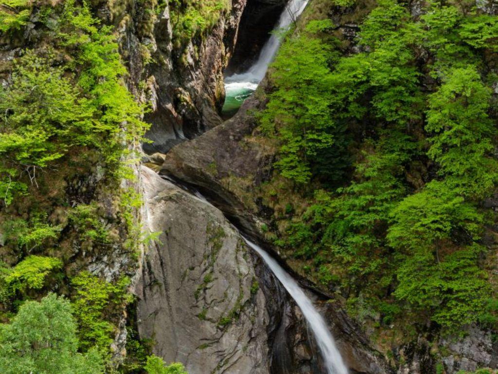 Image 5 - Alla scoperta delle faggete Patrimonio mondiale dell'UNESCO