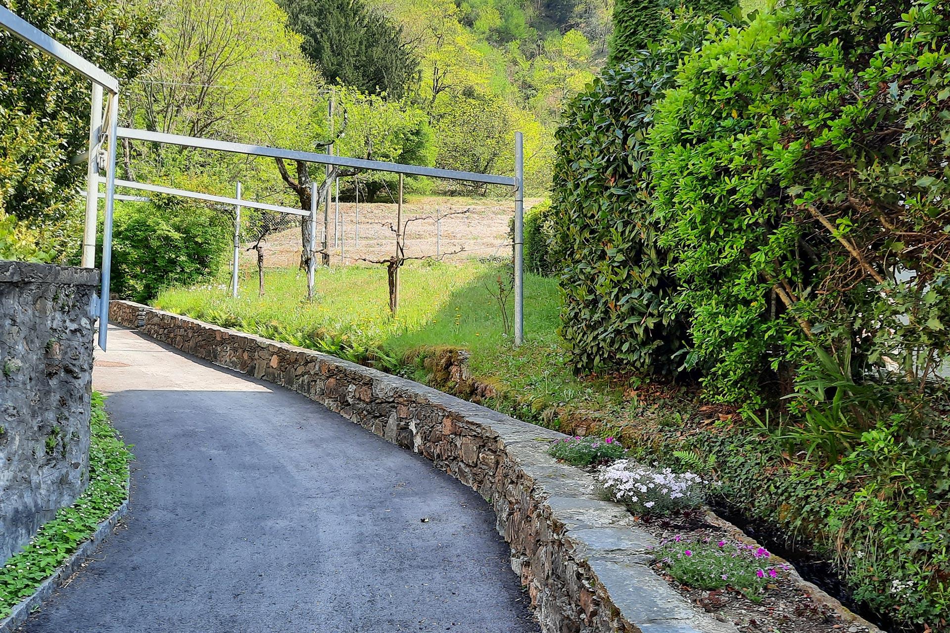 Image 2 - Degustazione gastronomica in vigna