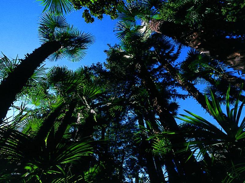 Image 3 - Hotel & Hostel Montarina