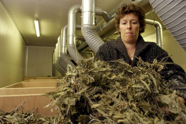 Image 2 - Alpines Institut für Lebenswissenschaften