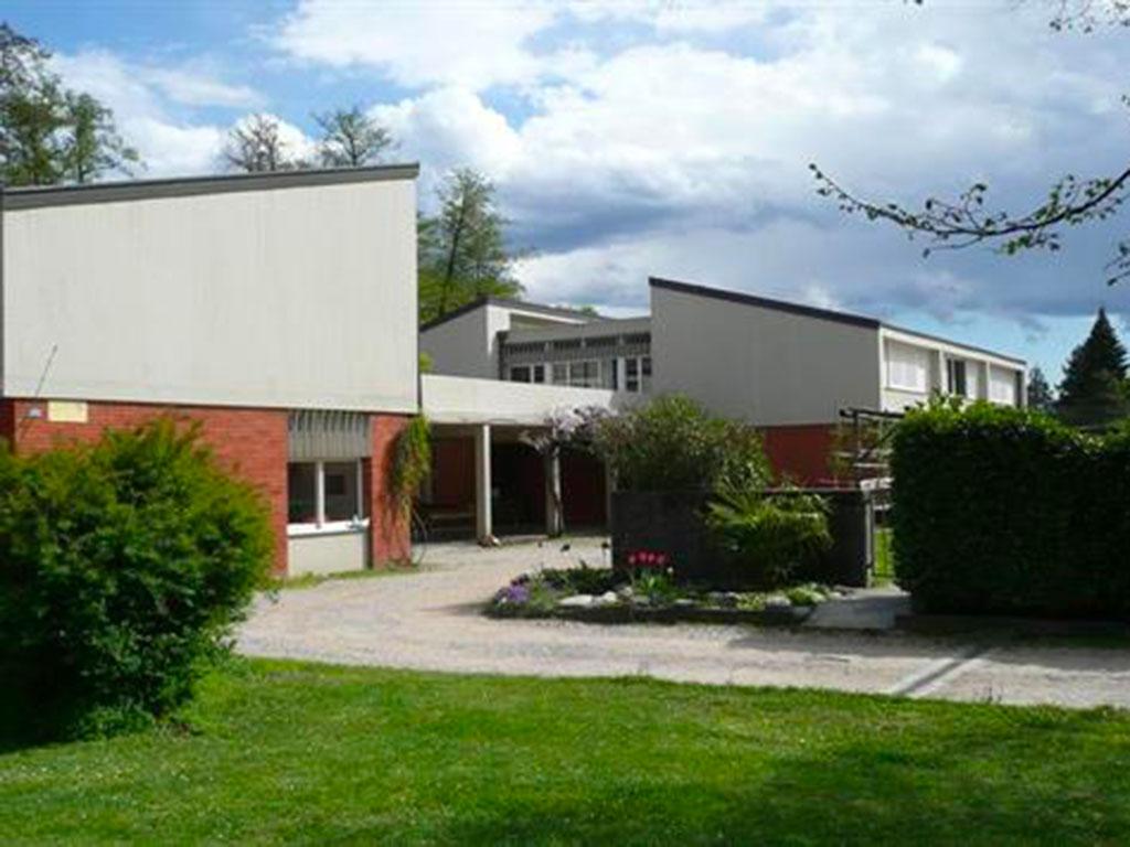 Image 0 - Colonia Zurighese