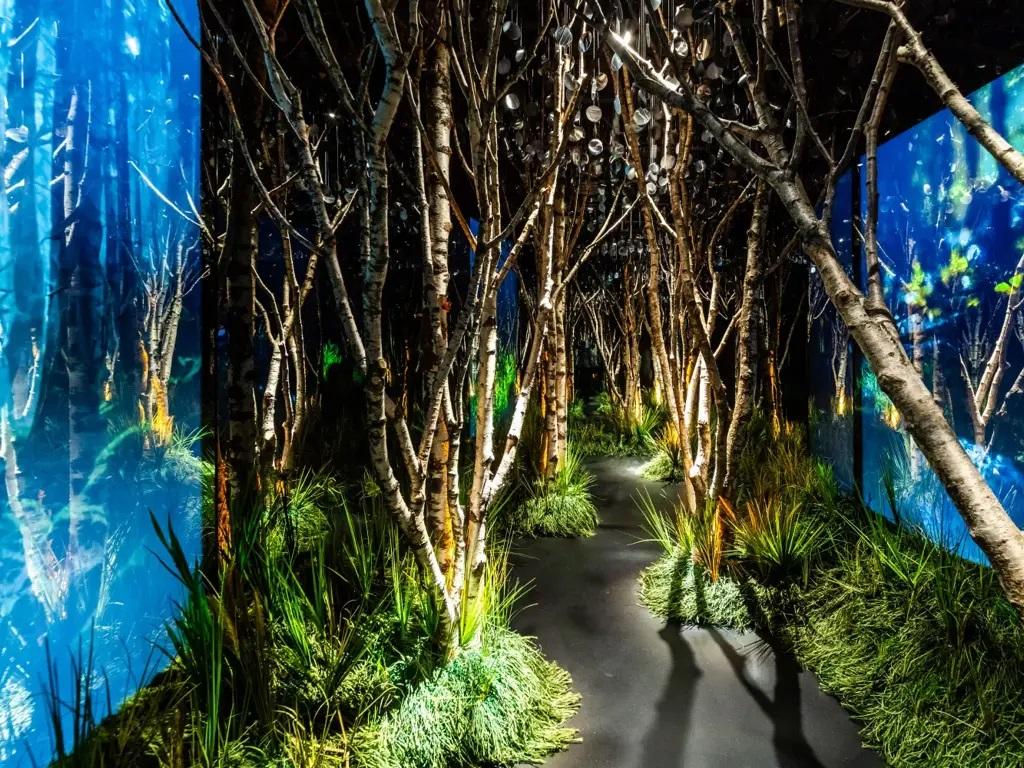 Image 1 - The Sense Gallery