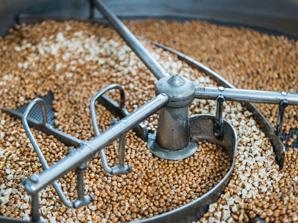 Image 5 - Ticino for you