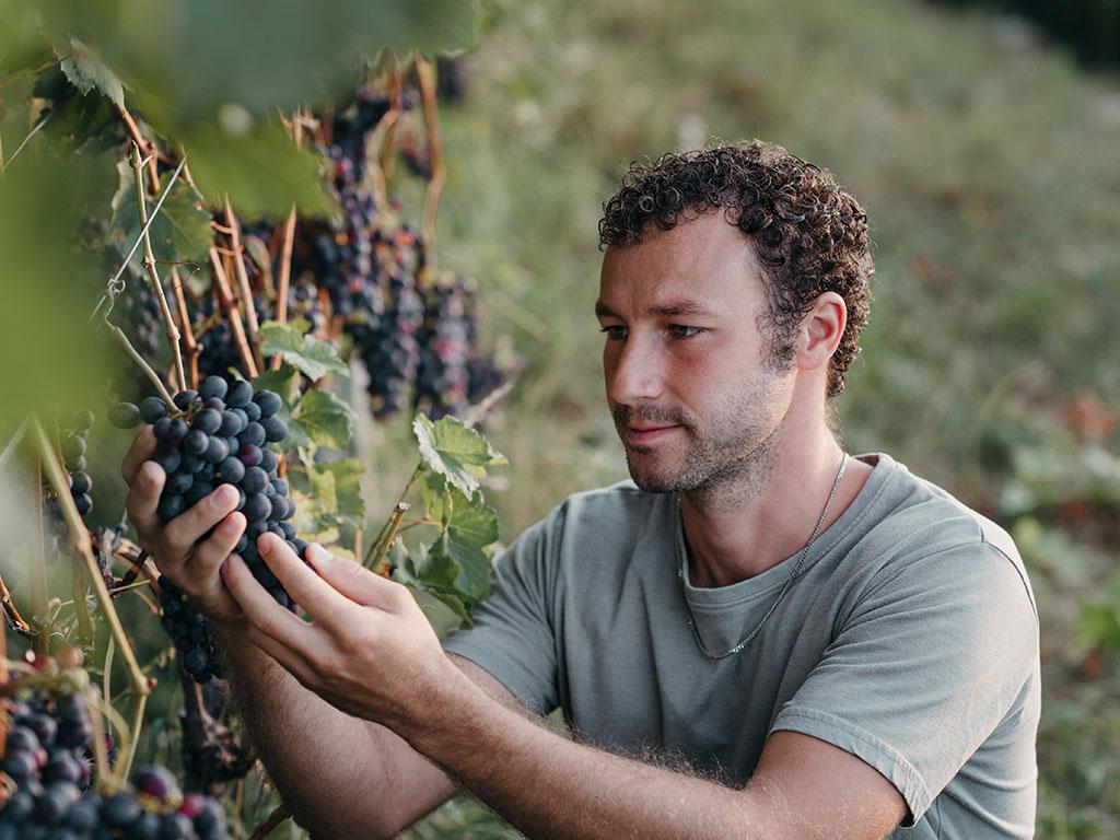 Image 1 - Domaine Giromit