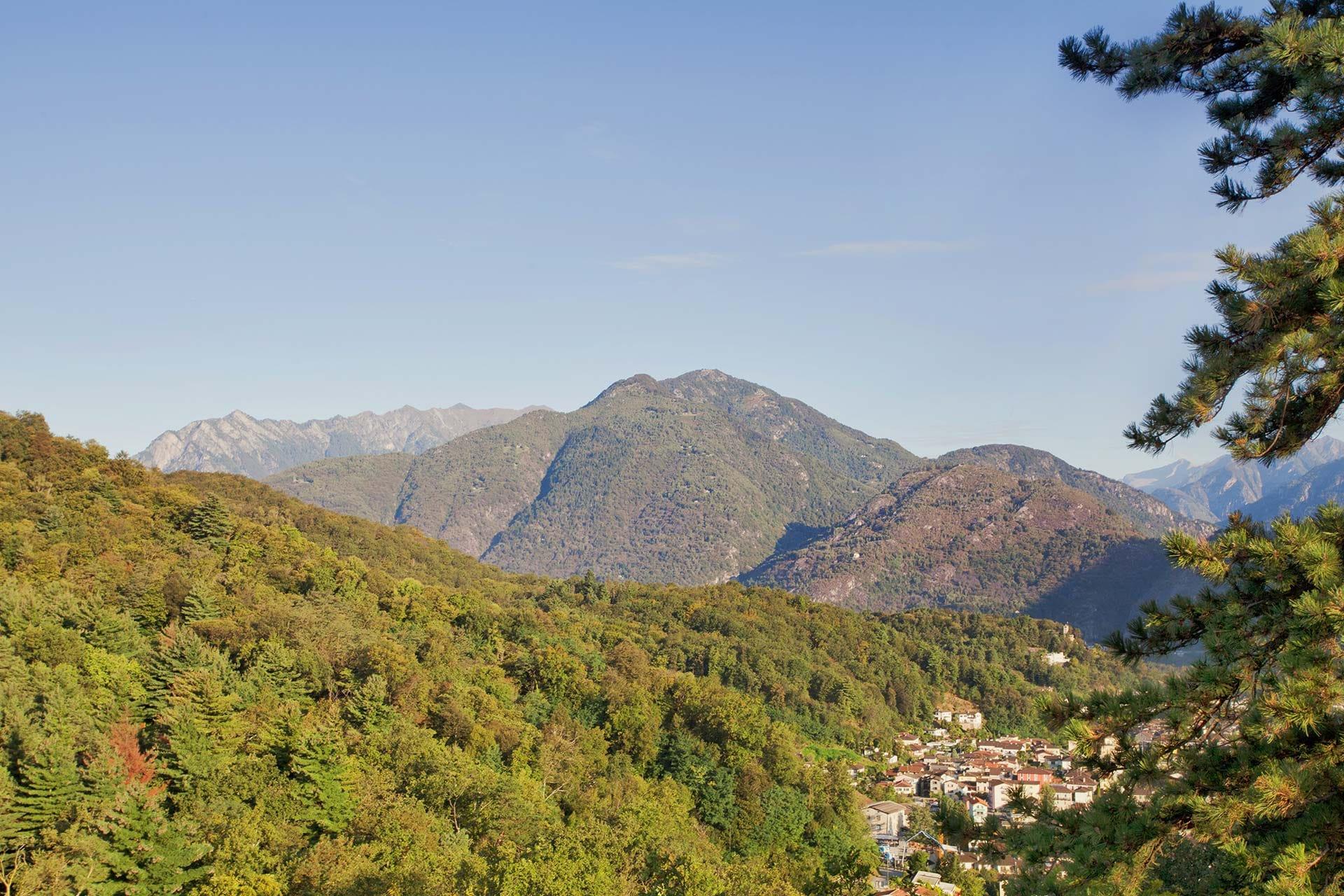 Image 1 - Monte Verità Park