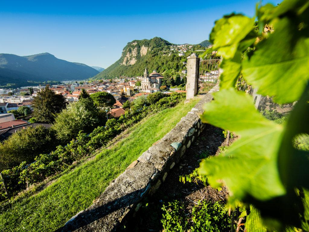 Image 11 - Food & Wine Tour 