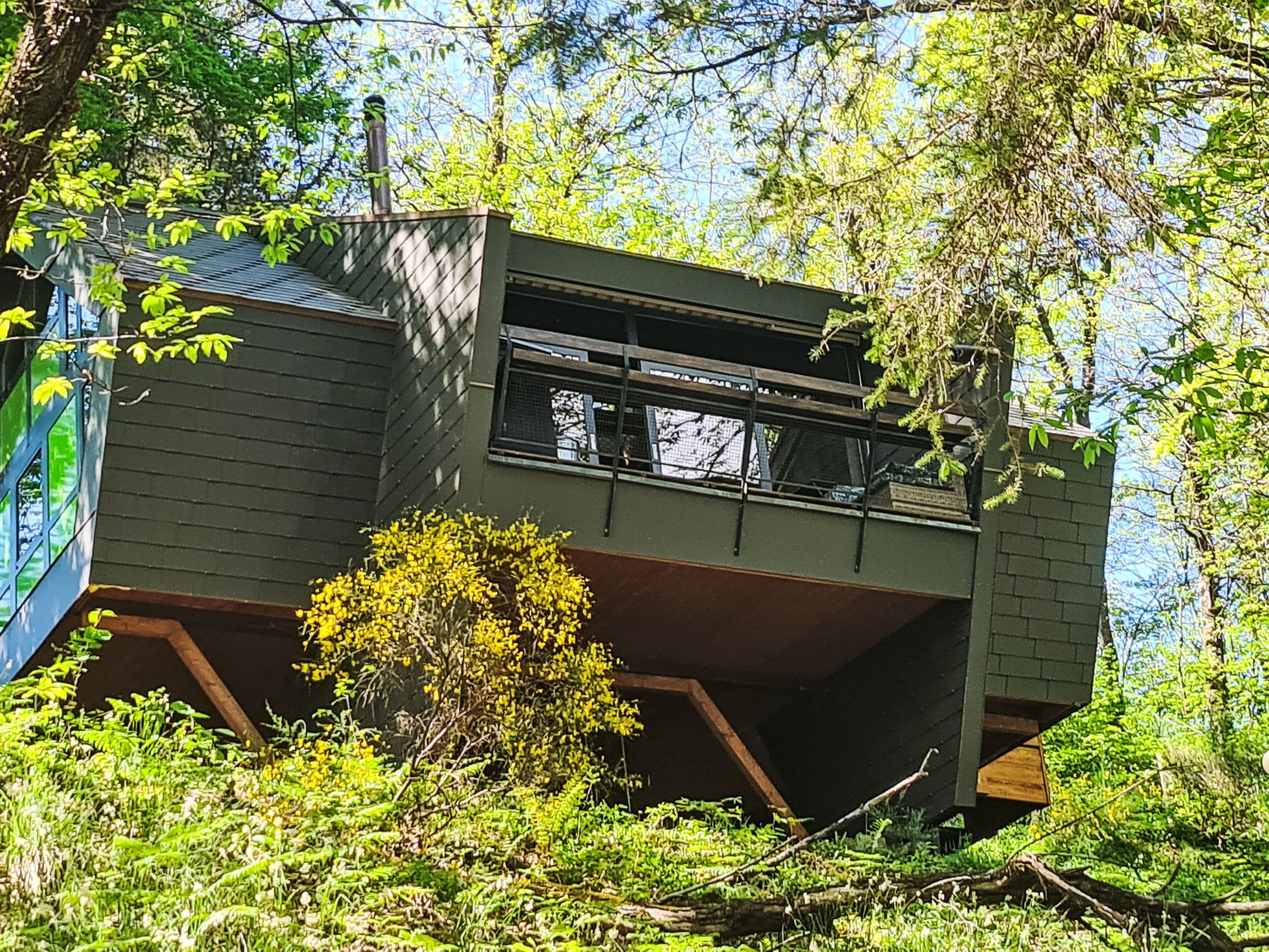 Image 0 - Bosco della Bella 6