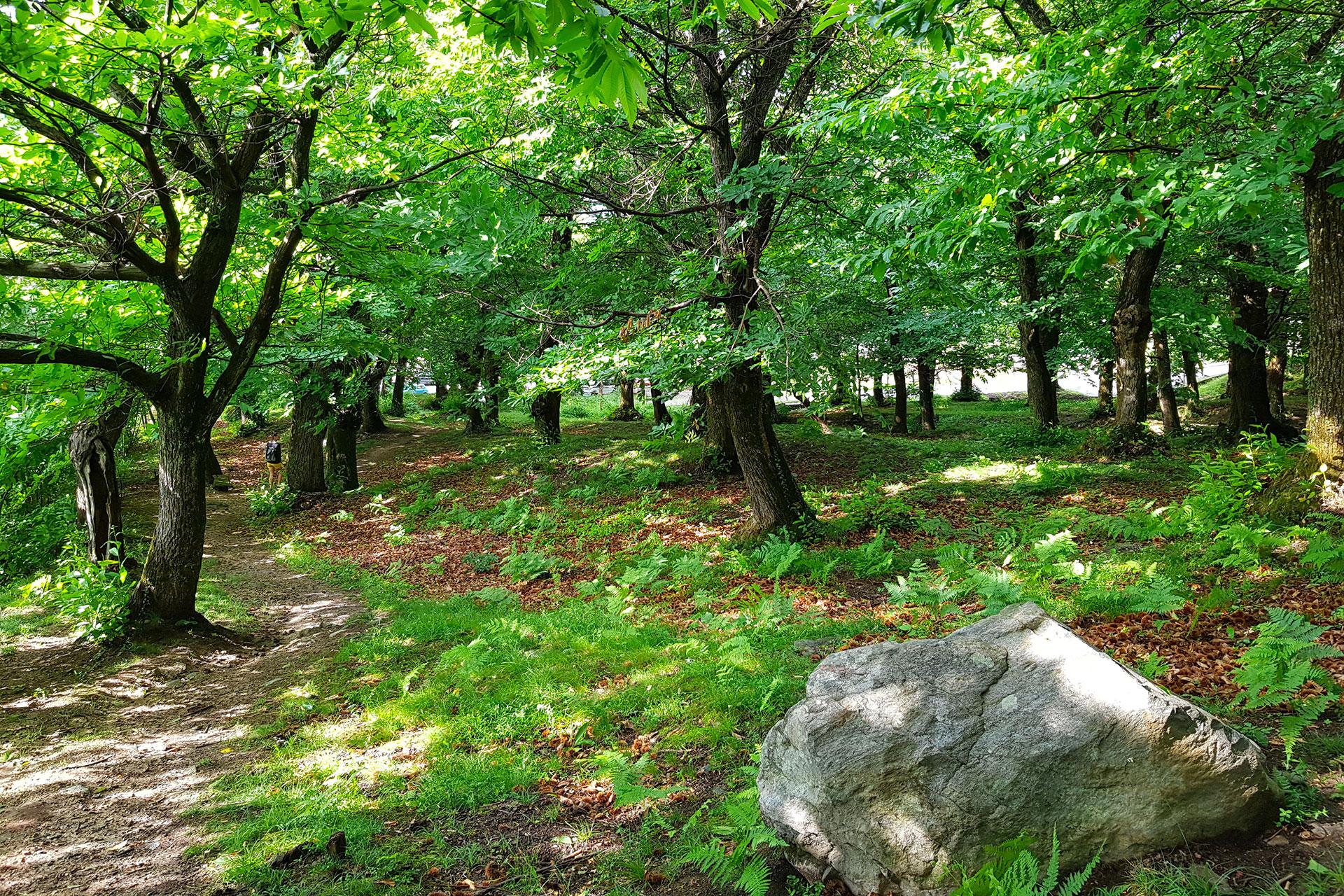 Image 2 - Bagno di Foresta