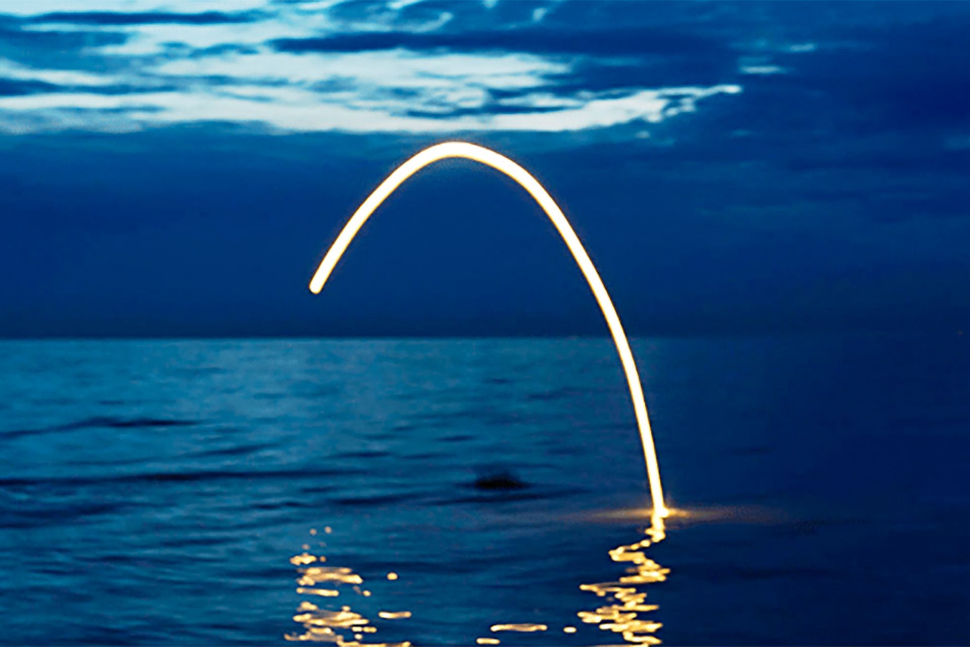 Jumping Fish