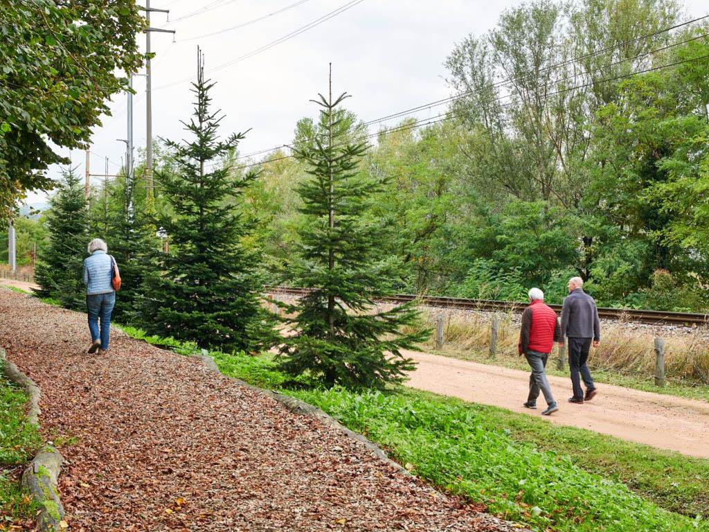 Image 3 - Parco del Penz