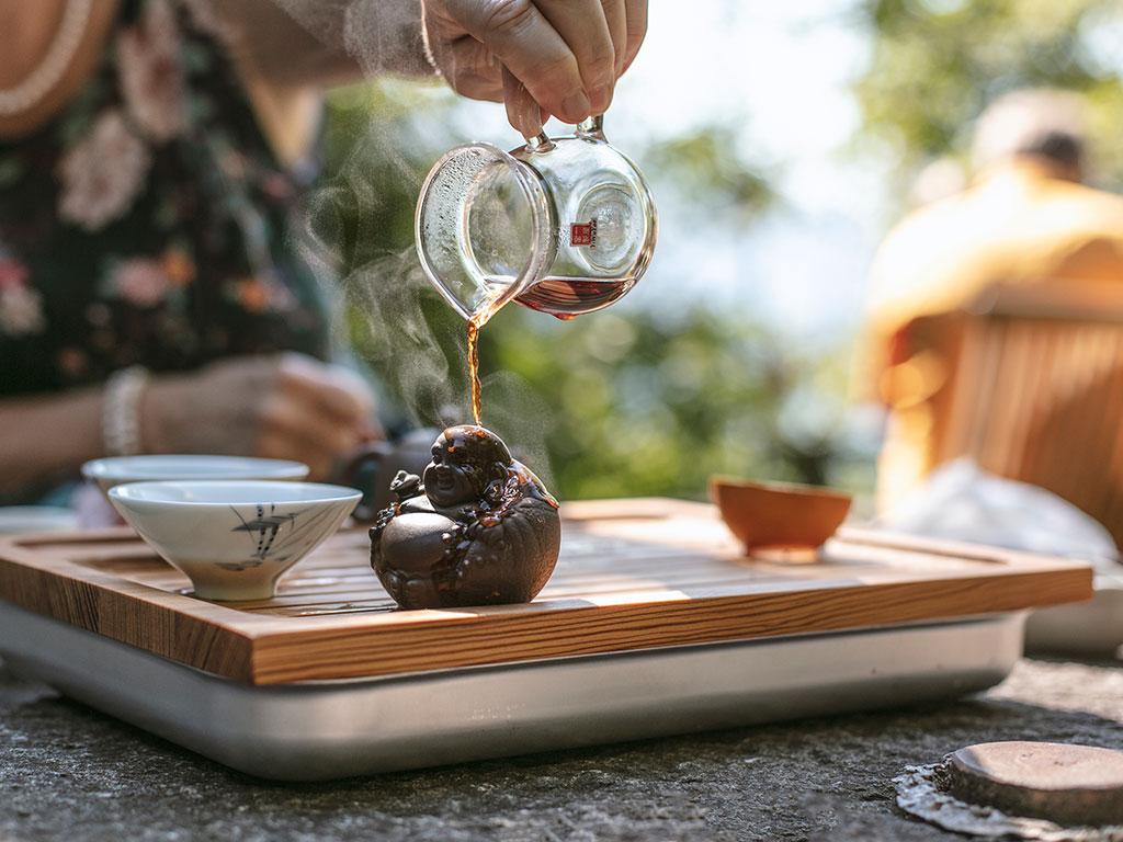 Image 6 - Plantation de thé du Monte Verità