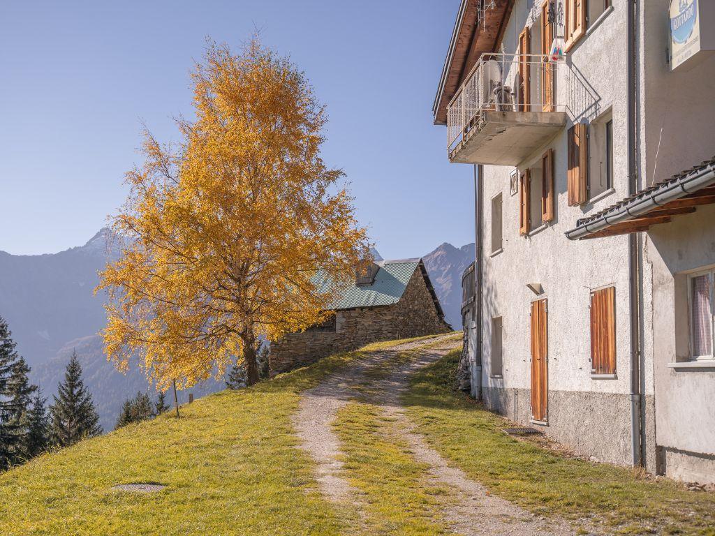 Image 2 - Agriturismo Alla Meta