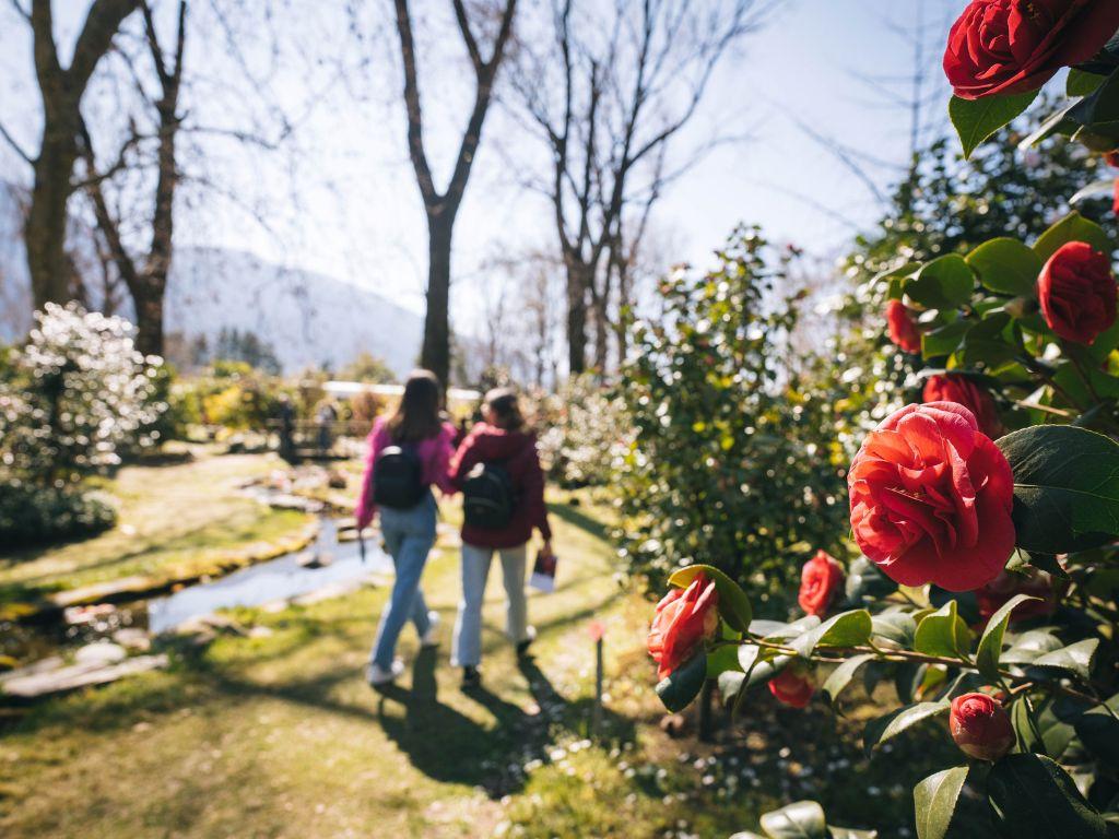 Image 1 - Camélias & lac en vélo électrique