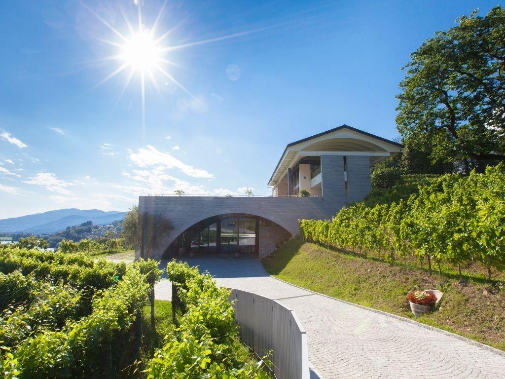 Image 2 - Cremoso al formaggio d’alpe - La ricetta