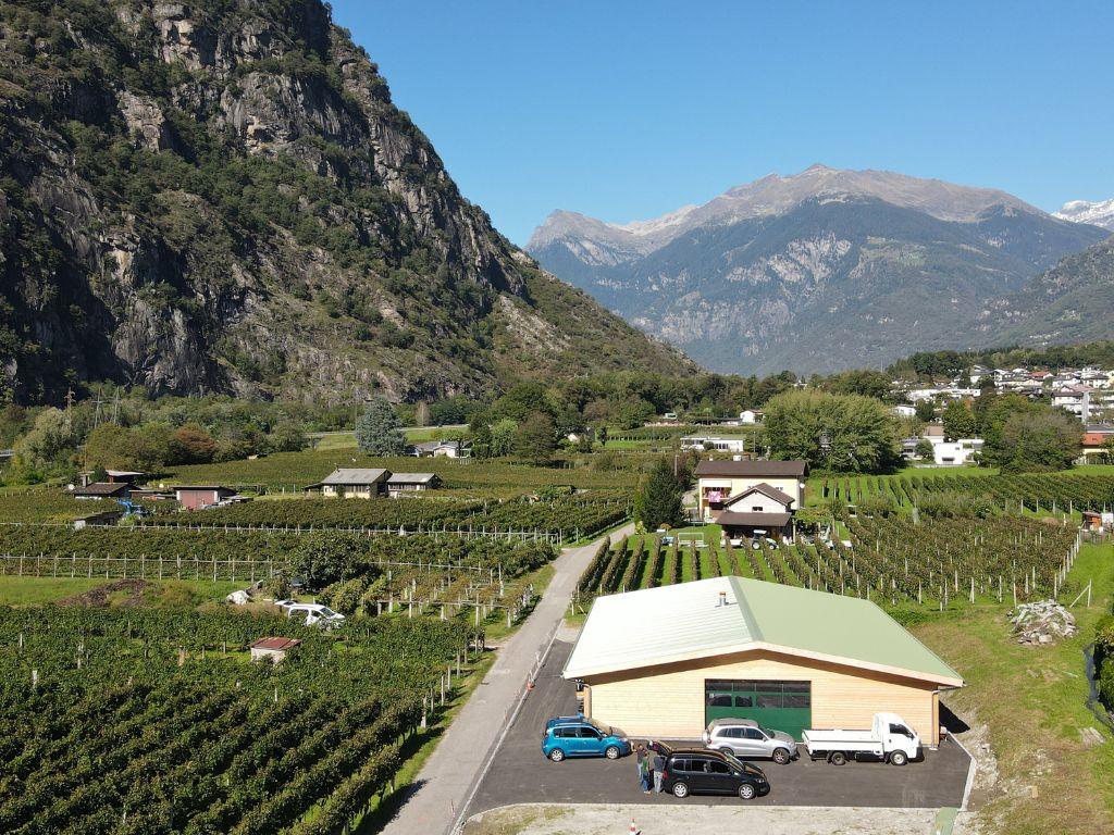 Image 1 - Azienda agricola Caprara