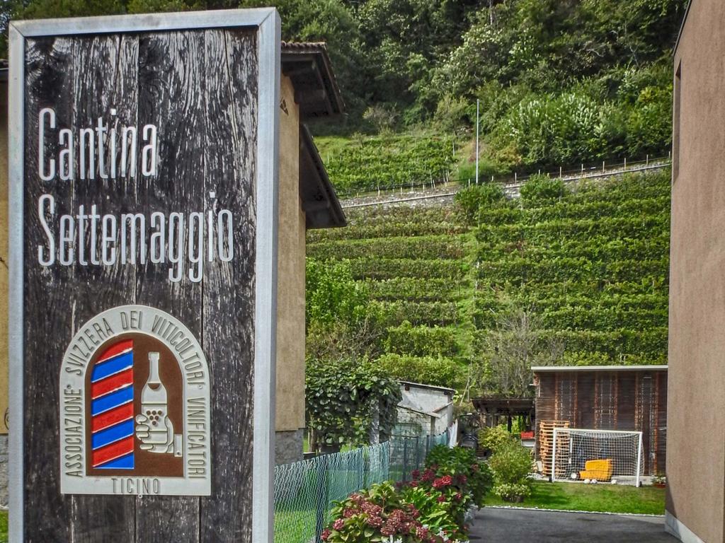 Image 0 - Wine cellar Settemaggio	