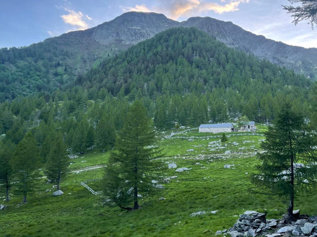 Image 1 - Baita Arami