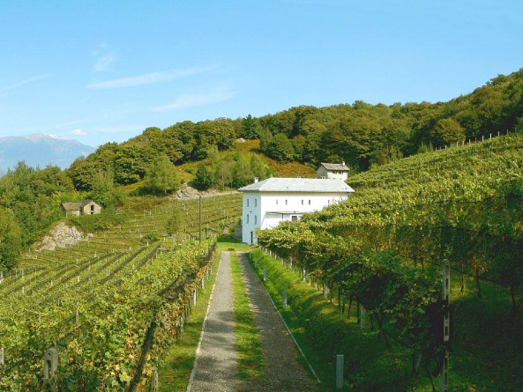 Image 4 - Agriturismo La Vigna