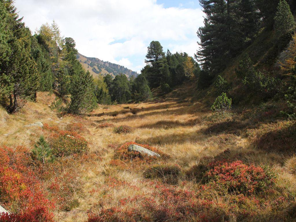 Image 1 - Réserve forestière Selvasecca