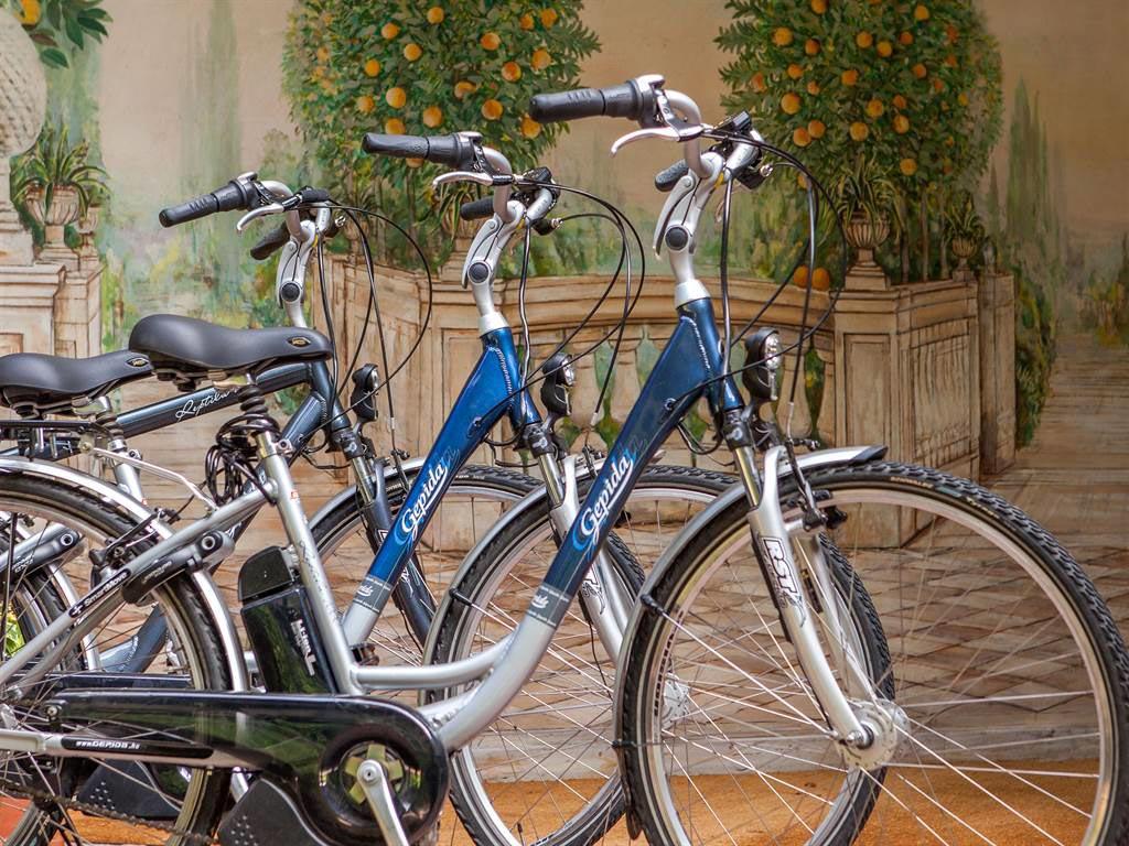 Image 21 - Park Hotel Principe