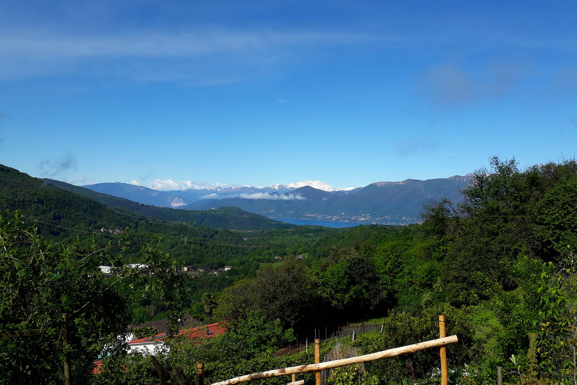 Image 3 - BnB La Collina