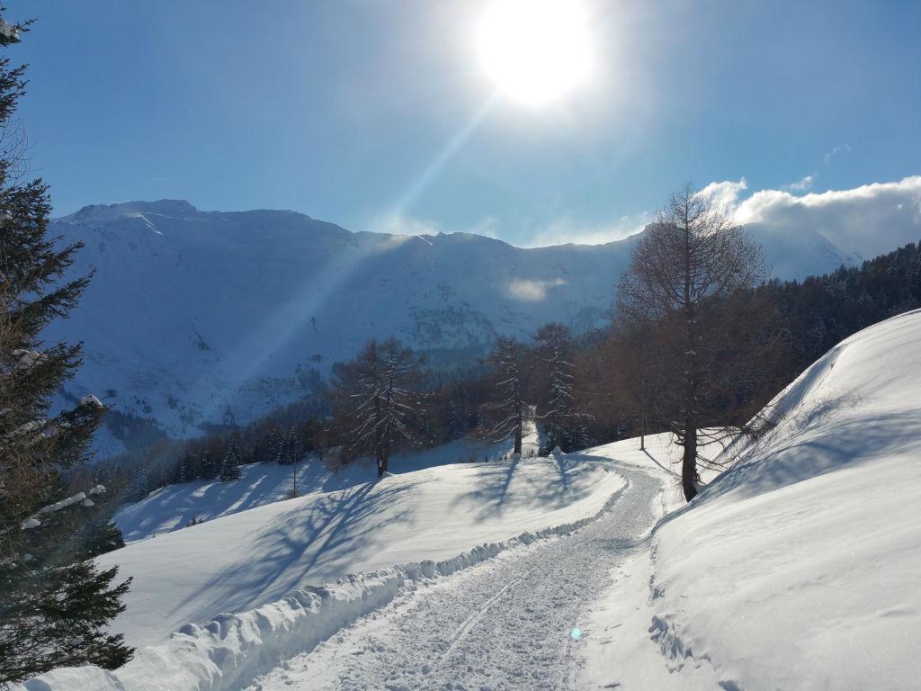 Image 3 - Promenade en traîneau avec motoneige