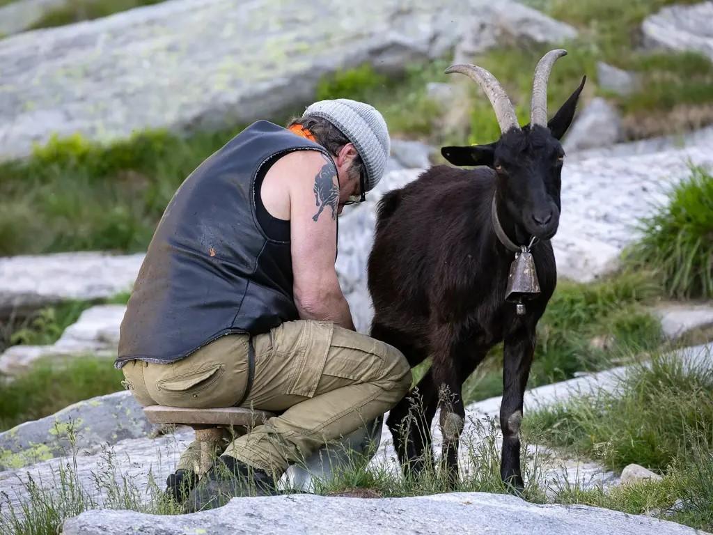Image 0 - Berghütte Nimi
