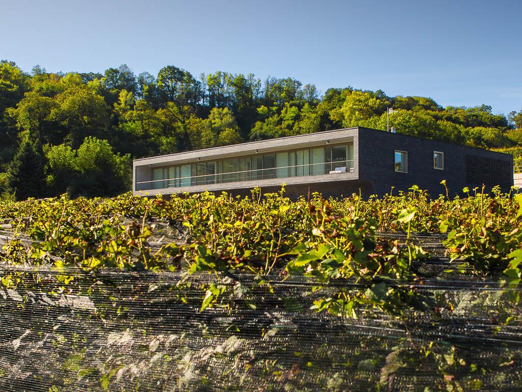 Image 3 - Agriloro SA