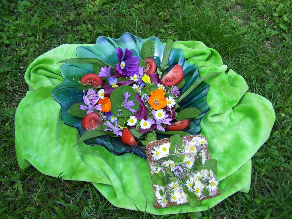 Image 0 - Wildkräuter kennenlernen