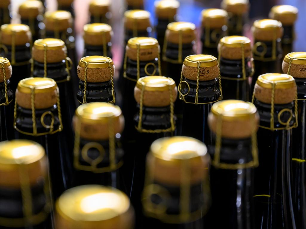 Image 2 - Agriesperienza - Azienda Bianchi