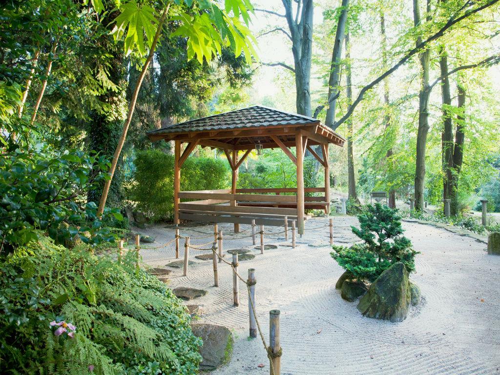 Image 10 - Monte Verità Park