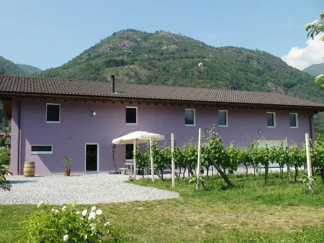 Image 5 - Cantina Hefti vini